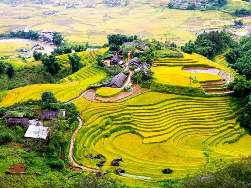 Hanoi Win Hotel & Travel Dış mekan fotoğraf